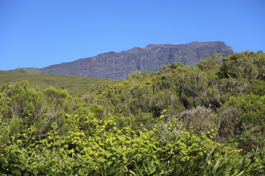 Berg Piton des Neiges auf La Réunion